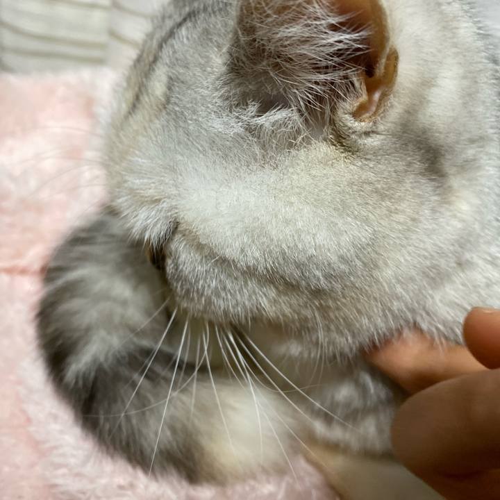 F9dcdd6e 91d3 445c 8fdb d0a569c75c09 1738499886417