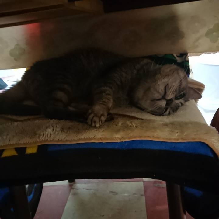 F9ddaa52 4f33 4281 b55c f7d39df8dc89 1577183349018