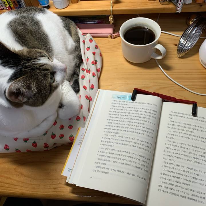 F9ddafea f36d 49ac bacb 38b35312d7ea 1637355683848