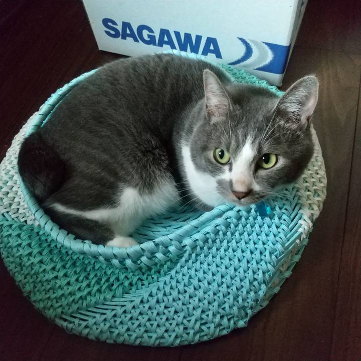 F9dde083 82cb 4861 b7cc ff99deac9157 1625702252098