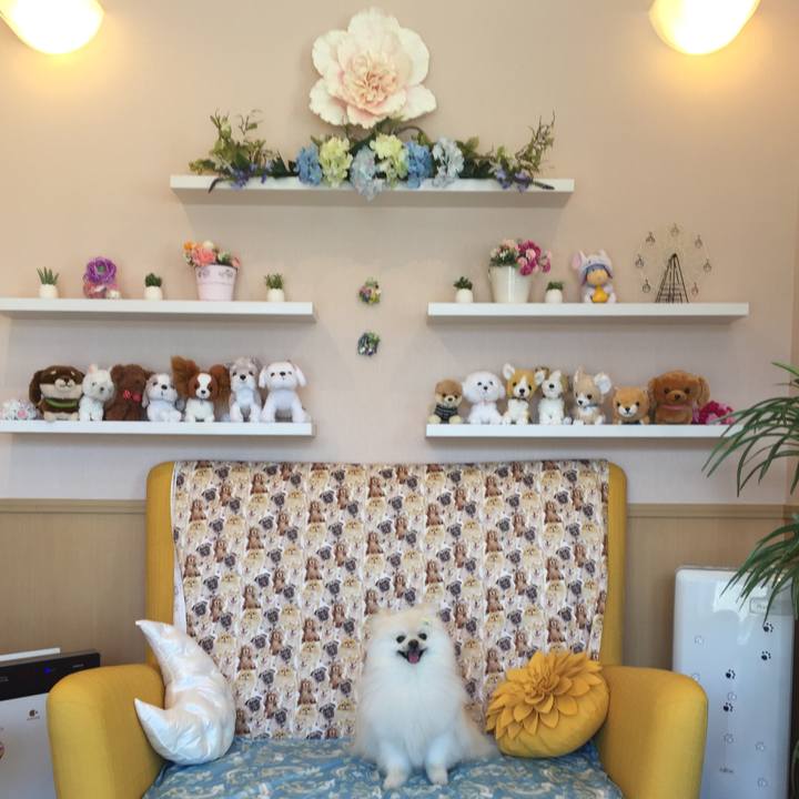 F9de103a 2206 4517 b0a3 381c9a1548d2 1589172398256