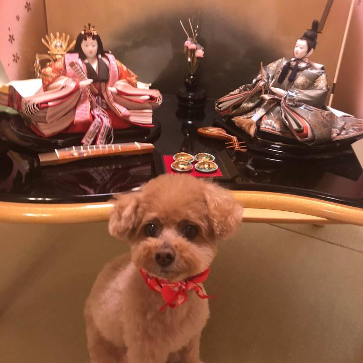 F9de2745 3dac 4d81 8b37 96f96b3e5b9b 1583283811733