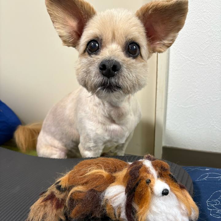 F9de2d3e ee6a 4811 8a96 48d4b2fe7db4 1754824484325