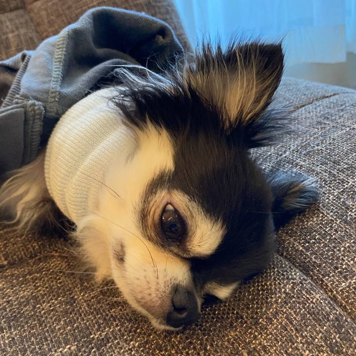 F9de4b13 c42e 42d0 811b 76abda2a6e31 1710661361011