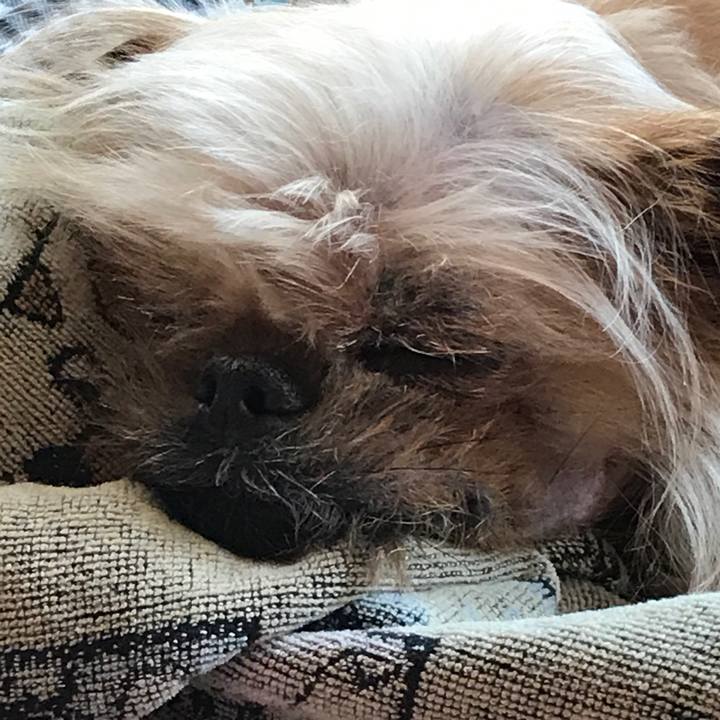 F9de86f2 57c3 4e6e 9457 fb9e8183c9e6 1522641614602