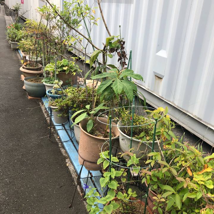 F9de9942 69ce 4628 b01e 824435756415 1572727702610