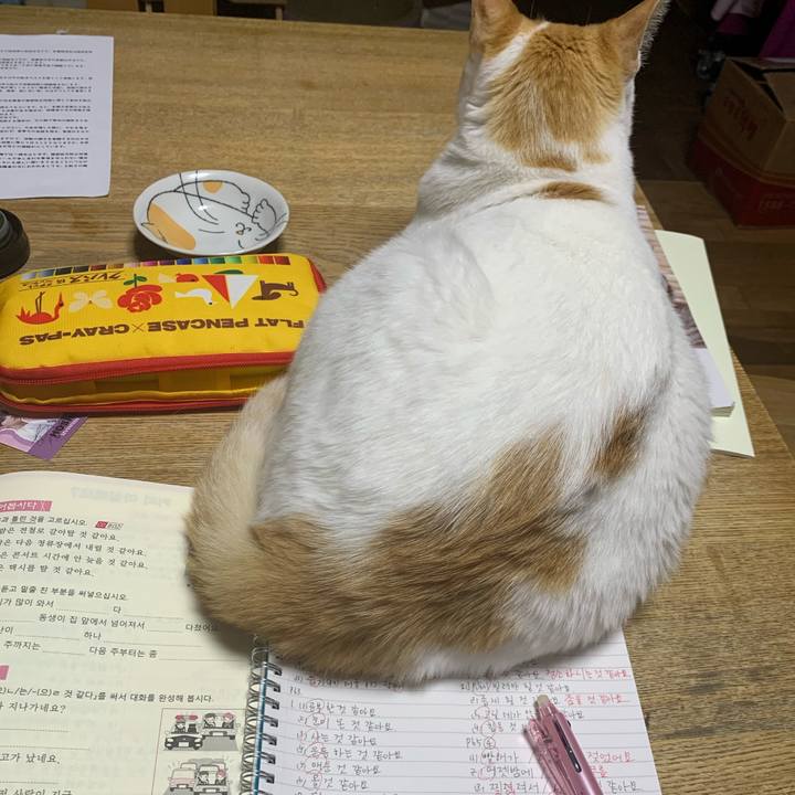 F9df4289 433f 4fab b34c d85c592a825a 1620774352102