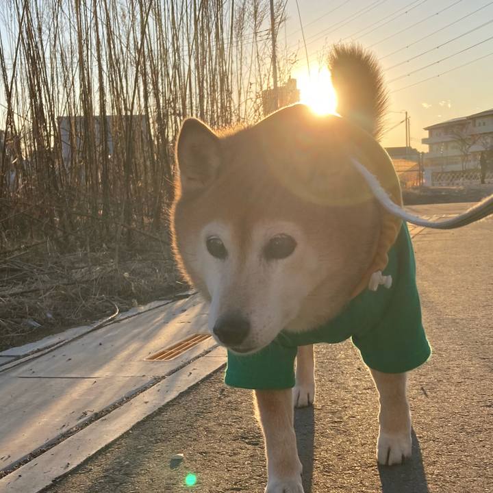 F9df72b4 ee0d 447b bc17 d6ec9e695c29 1738227585963