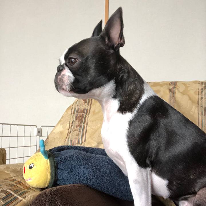 F9df8fdd 022a 4cab ad75 b94c4199e0c1 1555067907250