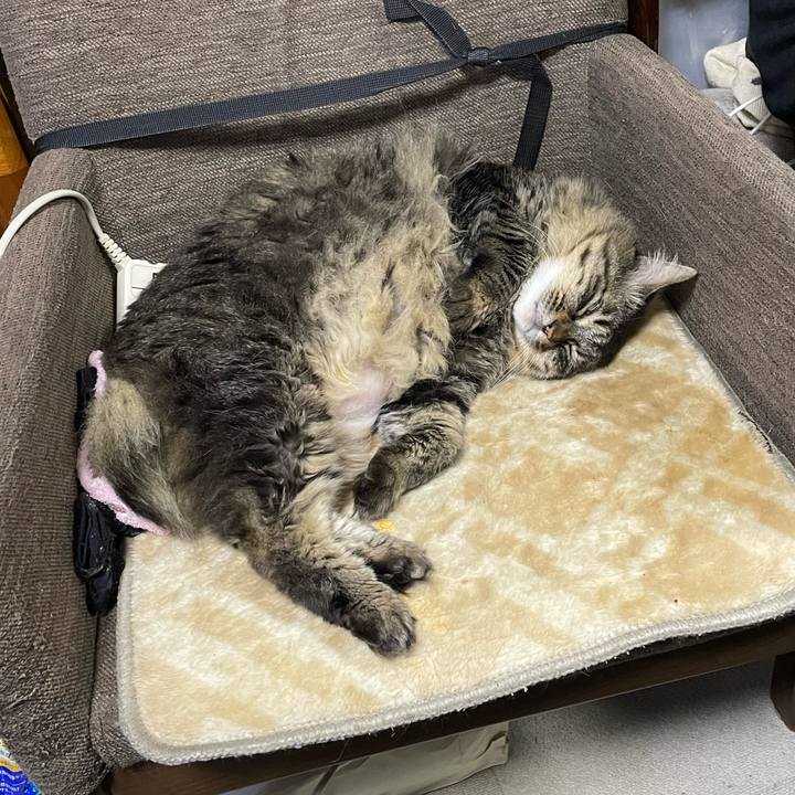 F9df9655 1dcc 404a 8df6 e030ecee7ec6 1769257804512