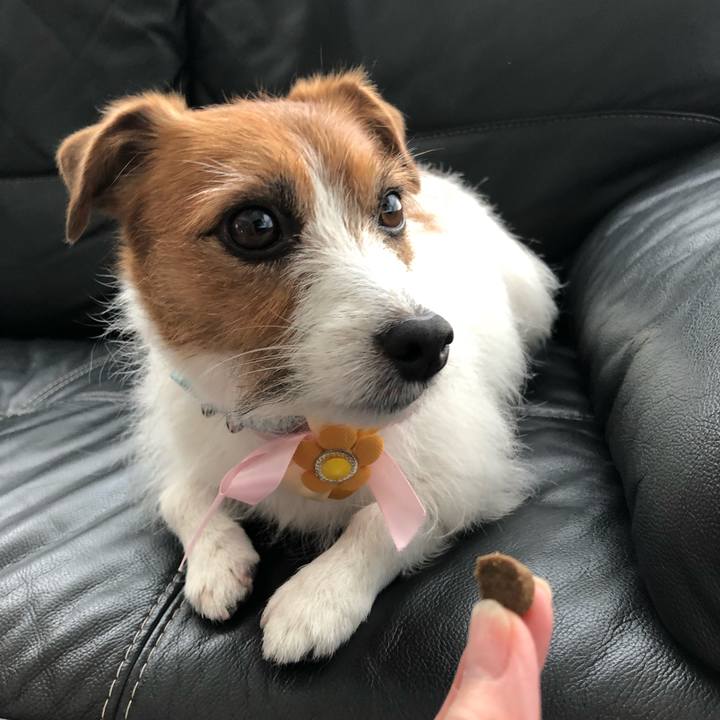 F9dfdb79 34b0 4260 99a5 144db5da7d26 1556841227611