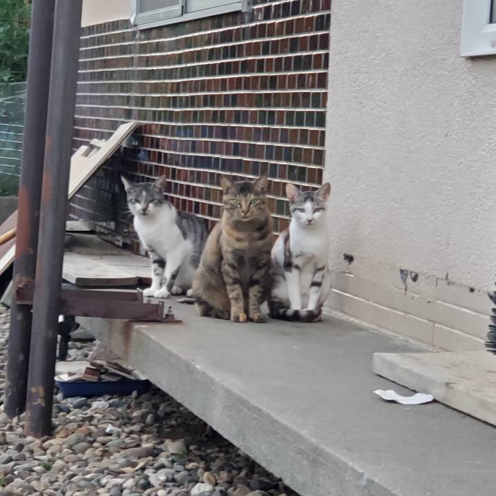 F9e027cb 2537 4888 bed6 029bd834d076 1756128752231