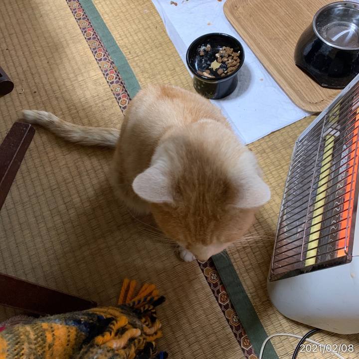 F9e08fb7 e711 4a23 a736 3dee51d7b524 1612764409467