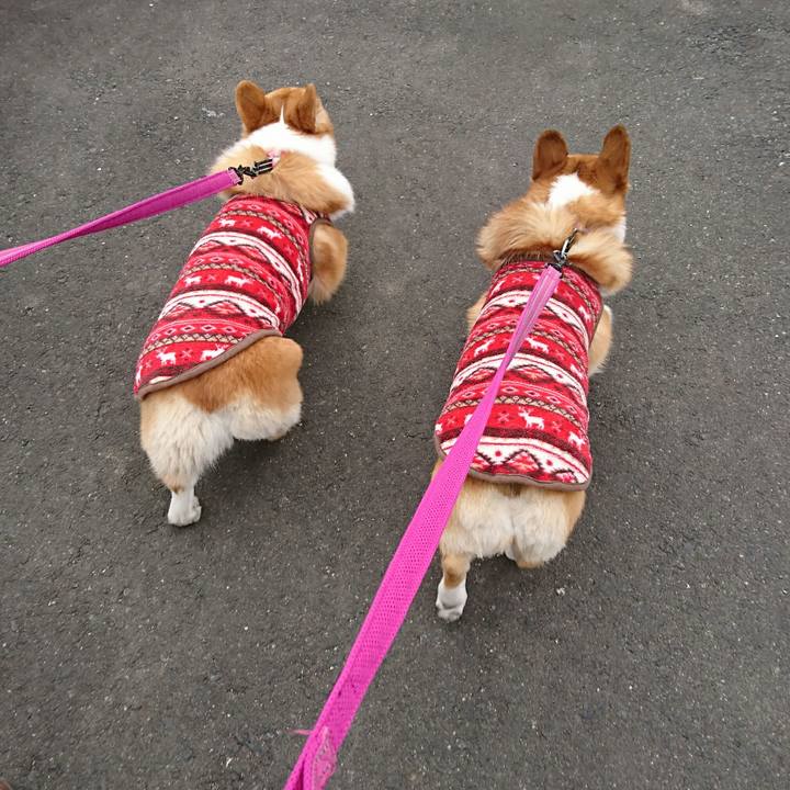 F9e0d6e1 fd2b 40df 9804 3e59b06a24bf 1551275913900