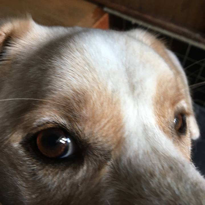 F9e10ce0 58d6 48d6 bcad f3ce3f4e6bf2 1507766635402