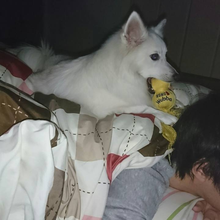 F9e170dd 35b4 40db 819c ac9a9f184b0a 1513697372625