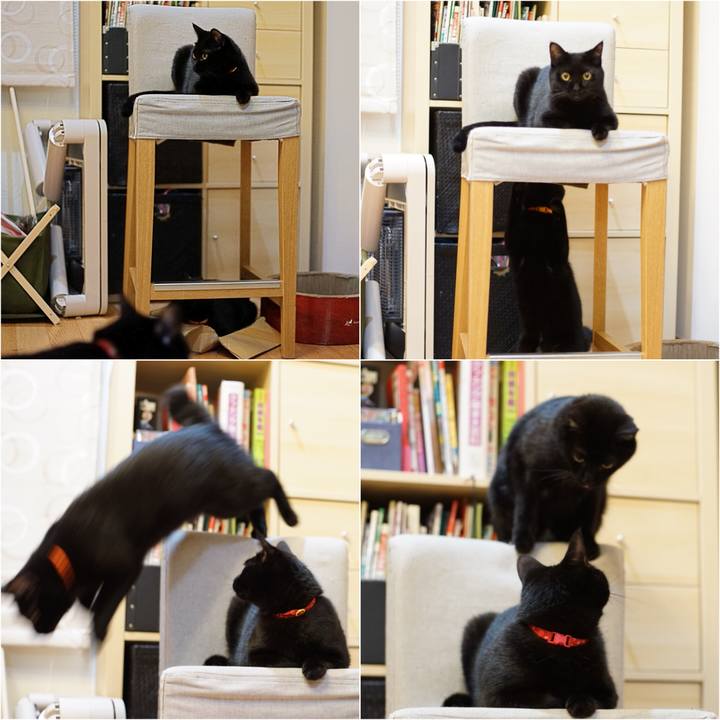 F9e17b75 48e7 4f4b 9207 bb2d3209be2b 1534946232201