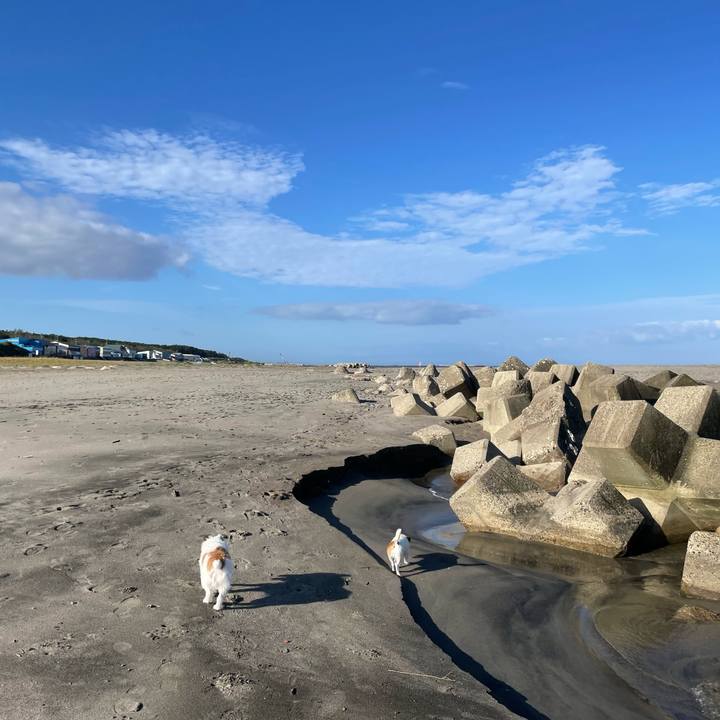 F9e18551 2c57 40cd af30 0ebe03d7986d 1664063122682