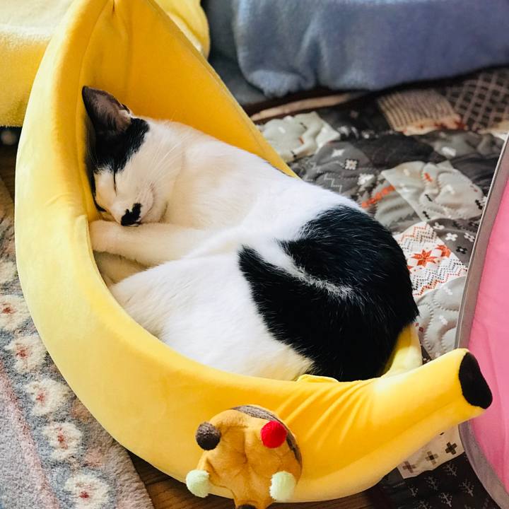 F9e1b397 11b8 4718 9651 195d854e37ed 1564024941829