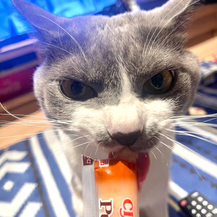 F9e1c065 059d 4510 83f4 319ced29ca81 1666255627305