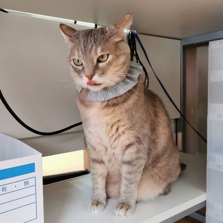 F9e1c9dd 40f3 4f34 9ecd f08fd37ff842 1678247659285