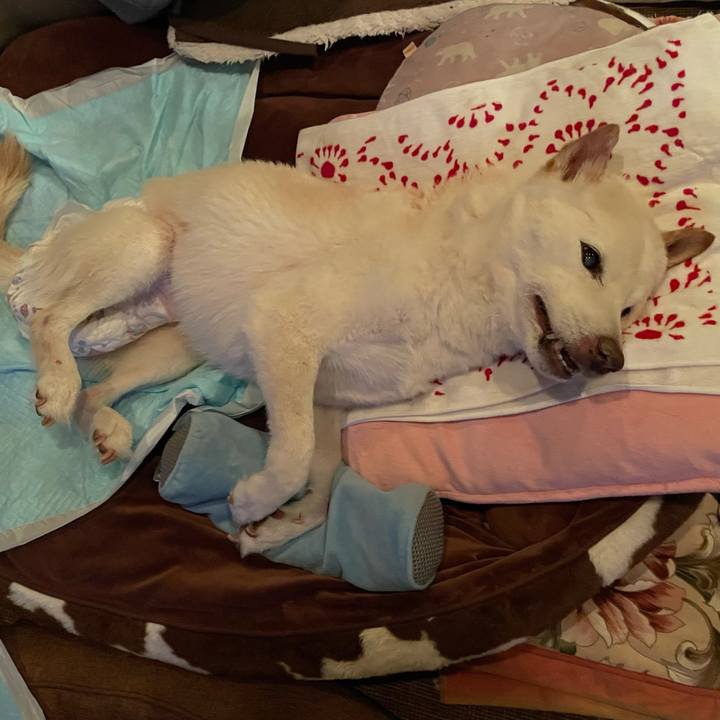 F9e1f3fc 45d0 4a10 a6d3 31aca43d3854 1676378930454