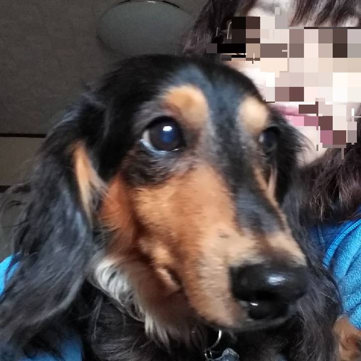 F9e1f785 c994 40ac 9966 6390d5eff133 1638513323470