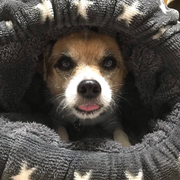 F9e211e0 d86e 40b5 8a6e e26018fa54dc 1540368022605