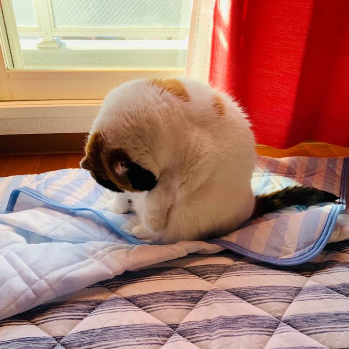 F9e259cf c820 42e0 87eb d265b9e3cf57 1563744890425