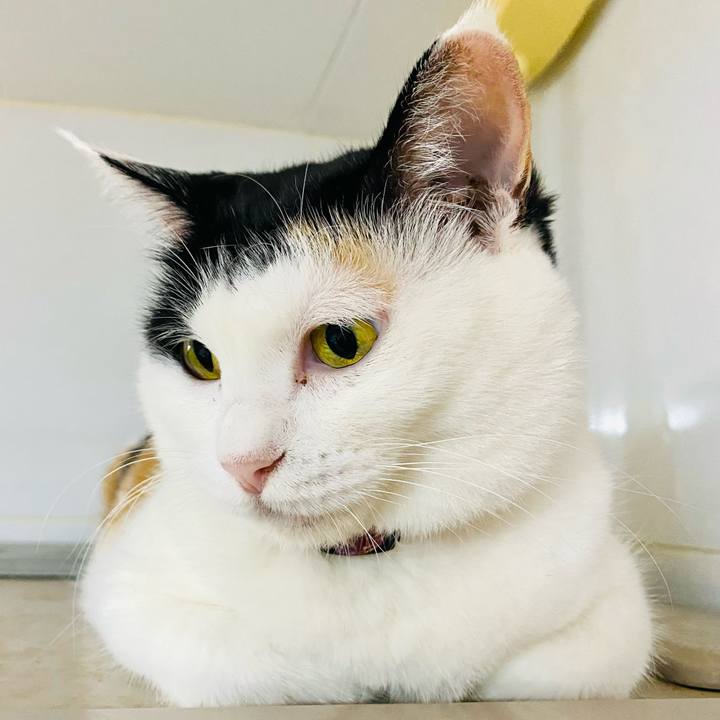 F9e261c6 5038 49c4 99ba 285118a8ef0d 1694697160132