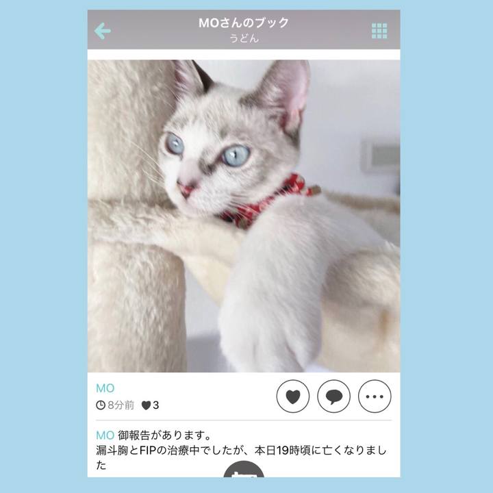 F9e28c4a 269d 4407 802b 666fcd8a44c3 1604930056628