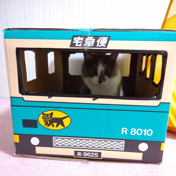 F9e29750 6591 466d ae92 db24d9a924e0 1570279954401