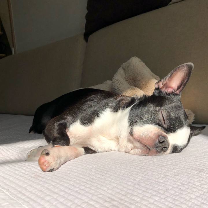 F9e2a3dc 996b 41bc 84e0 1961bbdcd52b 1614817301084