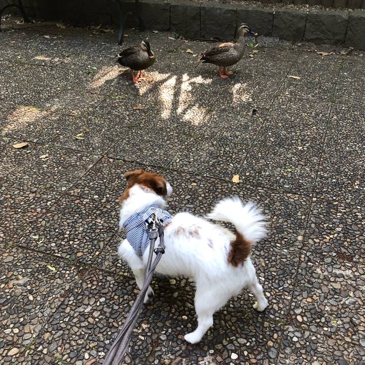 F9e2acb5 ed4d 44a6 99e1 bfd4ef030edf 1557009186113