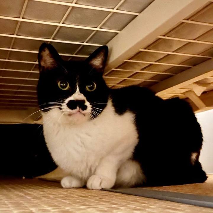 F9e2b893 c685 4733 8c0e 47ec29d706b3 1681649201318