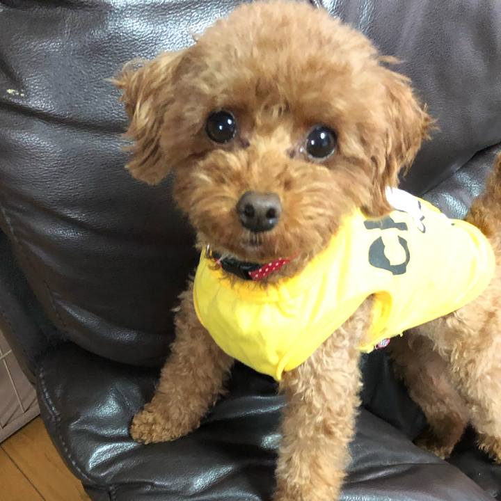 F9e3059a f7f4 4b31 b1c5 fab74cb9e8d5 1563167350158