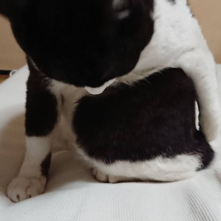 F9e331a8 6a0f 4d6a 820a 35df604fa9a7 1611890571710