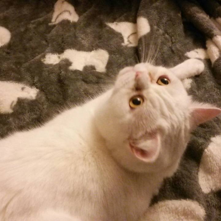 F9e397dd 16d2 4ed8 a818 79d28cec0fb8 1514536295305