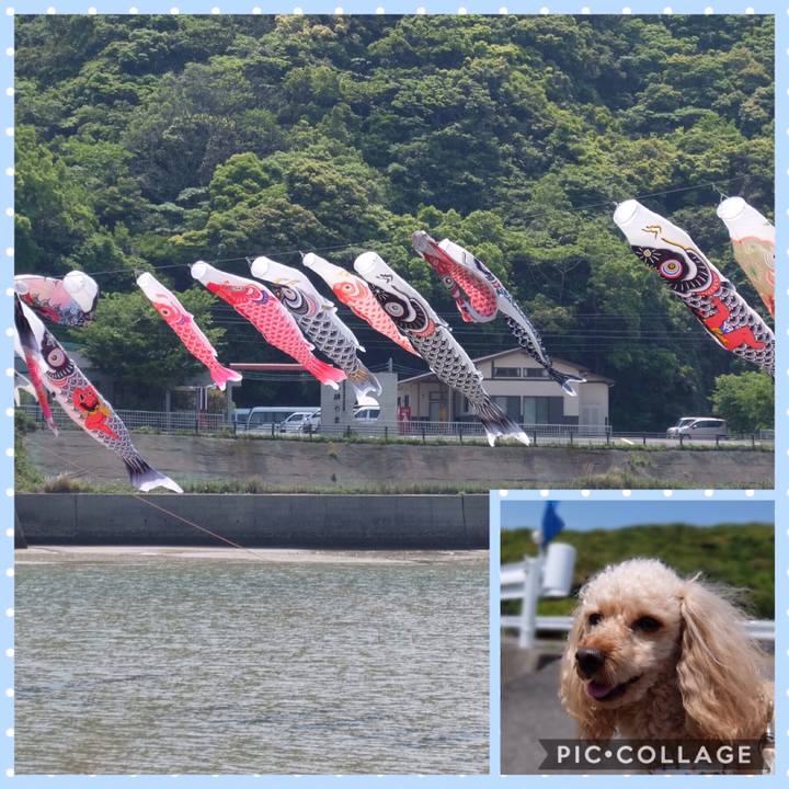 F9e3b9fc 145c 46de b5ca 59ff922ecdb2 1557044763510