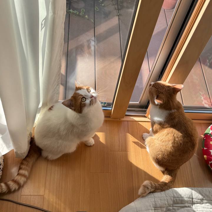 F9e3ce4a 195a 4a83 b239 b03156059c73 1762567984372