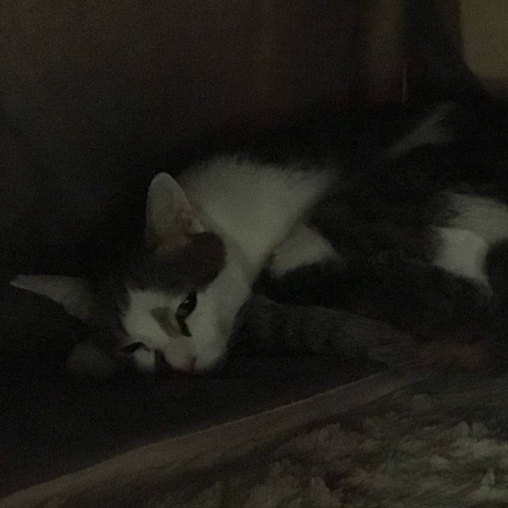 F9e41248 9cec 4ae2 a15c c056cbebf79a 1511737689562