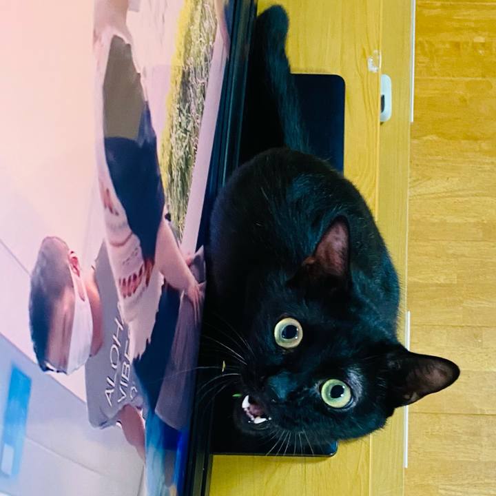 F9e4143c 830a 4b8d b708 5324eb601e89 1664629520145