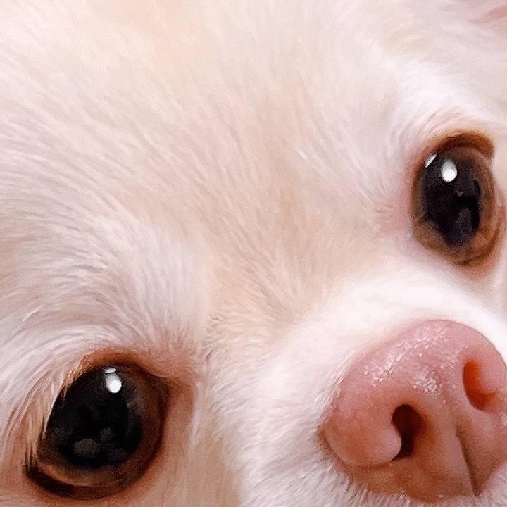 F9e418ae f7a4 45f6 b76c 871137ae23f3 1666438291231