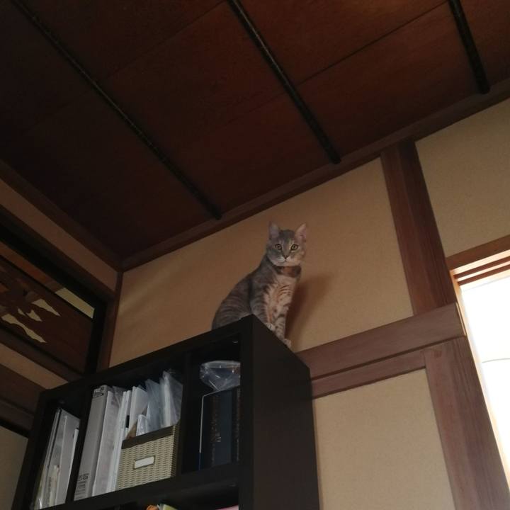 F9e4298b 6071 4a67 88a0 8cfc5f30adb0 1526285302522