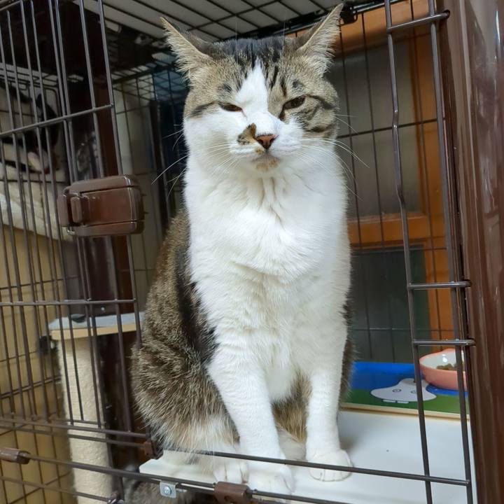 F9e436f9 b2bb 4d85 9b6a cacdbb43f680 1678620305746