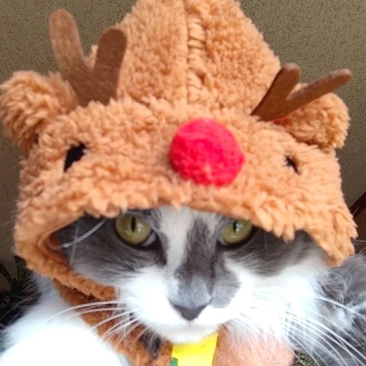 F9e4403d 1360 434b 877d 924276db41b2 1671848546165