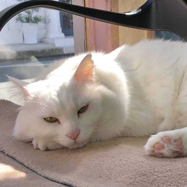 F9e481c9 b986 49d5 a896 32b042ed72a5 1546222187794