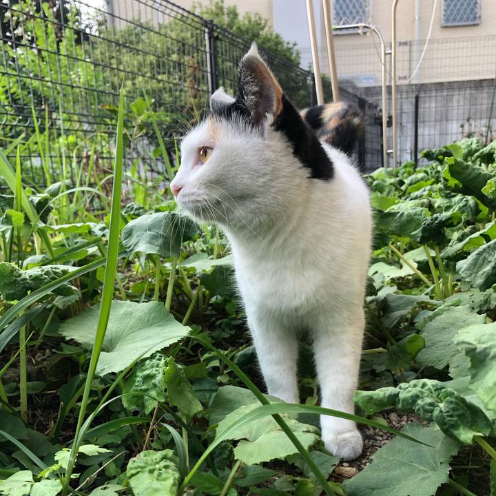 F9e4cf45 9ad5 4de7 8296 64ef9ecf6a0c 1615207463203