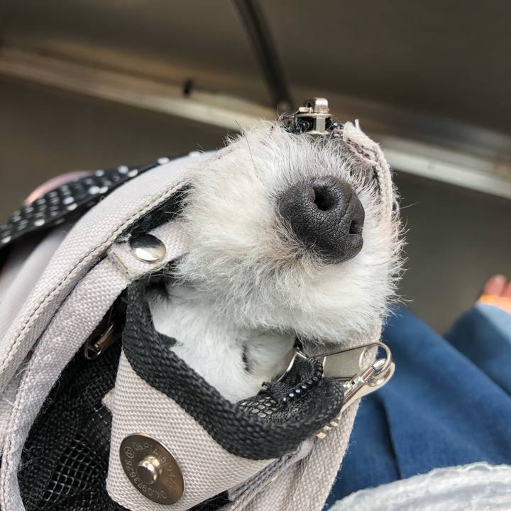 F9e4e791 be08 44c8 9f8f 4936b1a7dc71 1598067999485