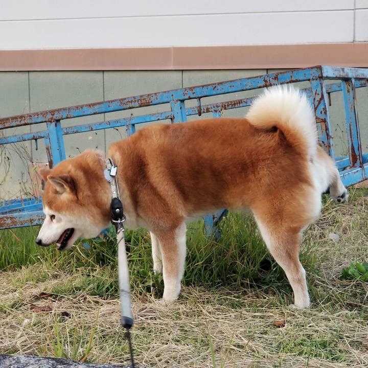 F9e5295b 48cf 420c b211 5d92eb77e5d5 1633421039725